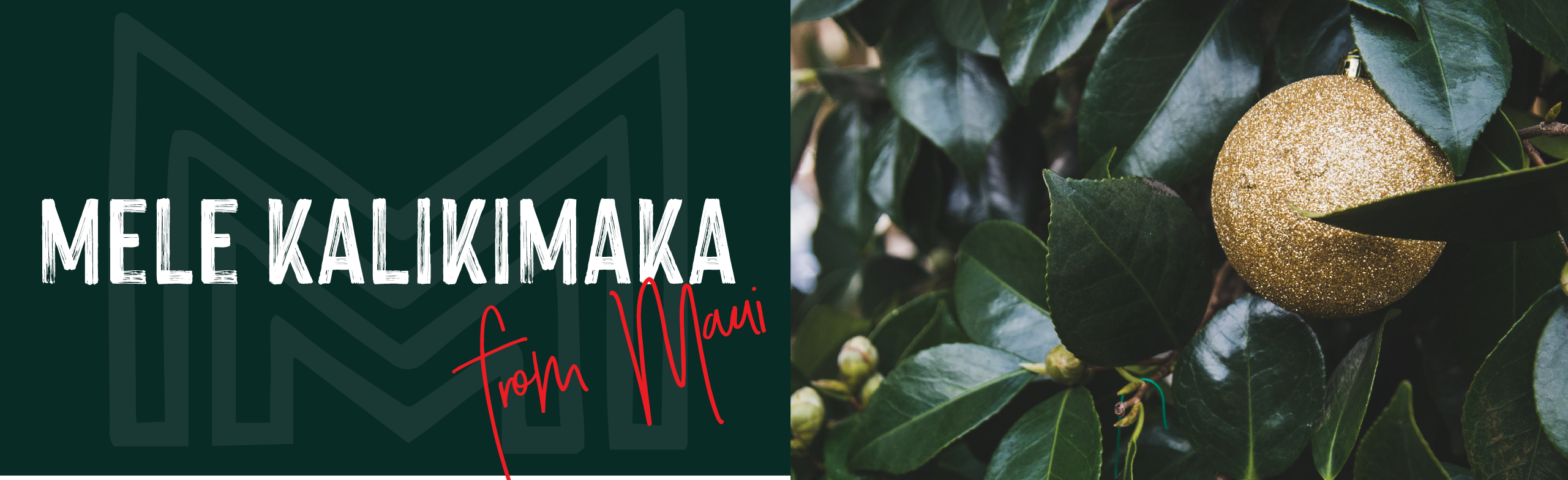 Mele Kalikimaka from Maui